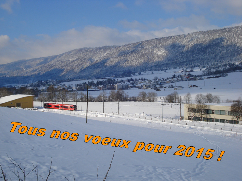 2015 VoeuxAV